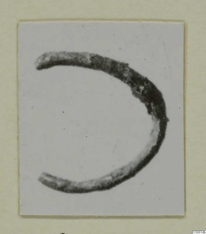 Curved dark fragment, open C-shape with tapering ends, shown on a white card mount