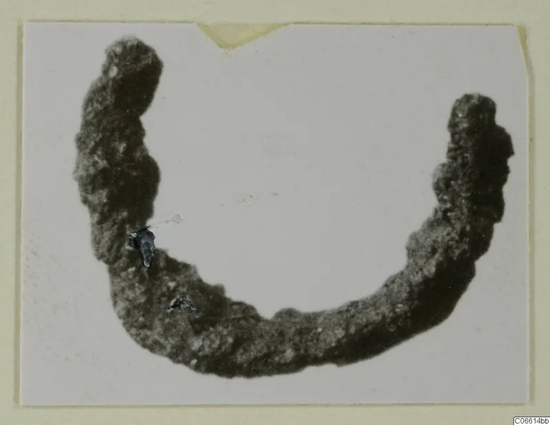 Corroded bronze object curved into an open arc, from Vouni, photographed on a card mount