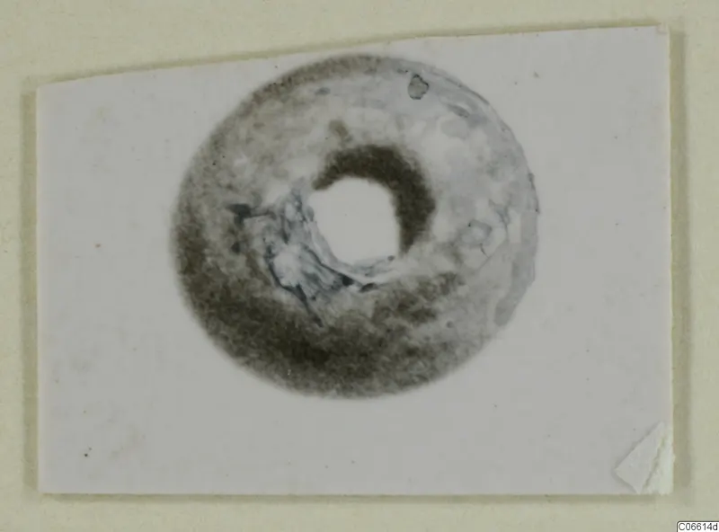 Ring-shaped bead from Vouni, photographed on a white card