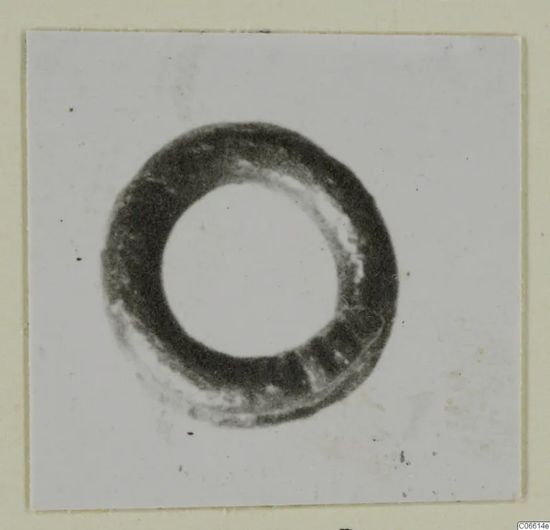 Hair spiral from Vouni, a dark ring-shaped object photographed on a pale card