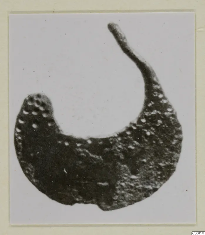 Crescent-shaped find fragment from Vouni with a pitted surface and one thin curved end, photographed on a card mount