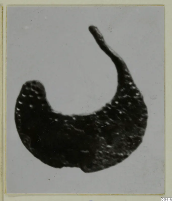 Crescent-shaped silver object with a thin tapering end, shown against a plain grey background