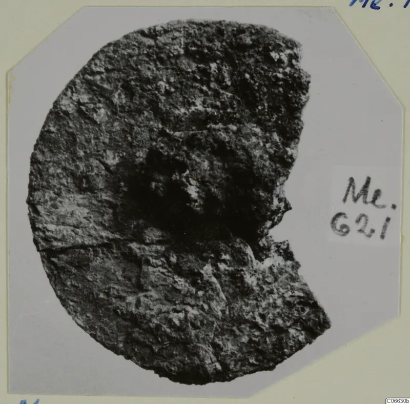 Corroded bronze fragment, roughly circular with one side broken away, shown on a photo mount