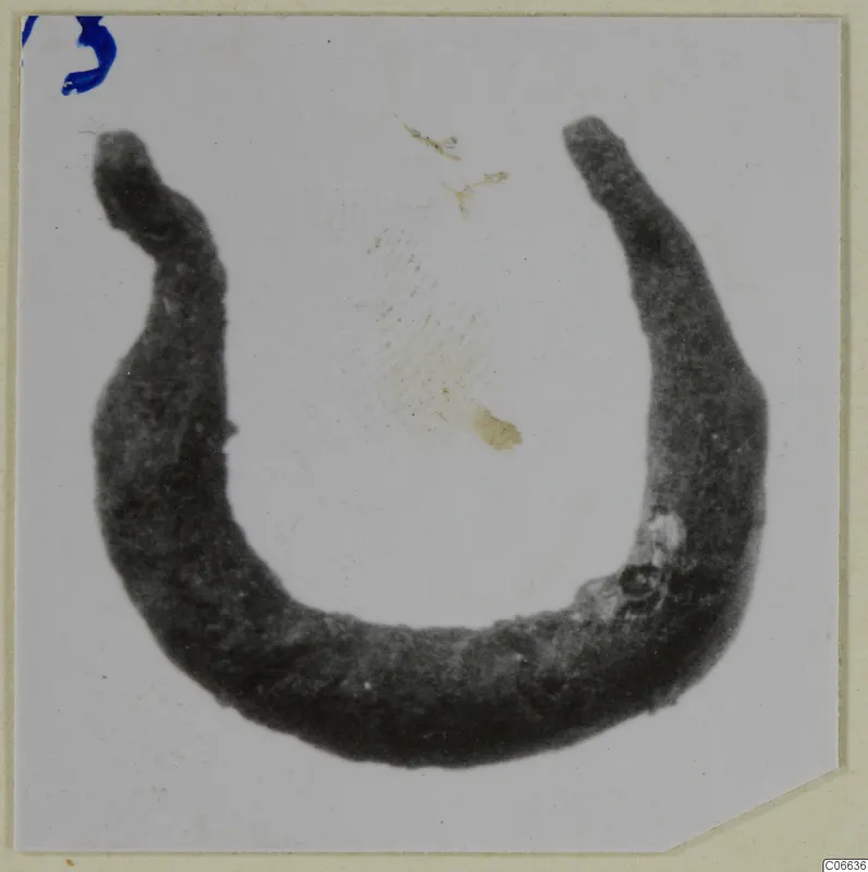Bronze earring from Vouni: an open hoop with tapering ends, dark and corroded in appearance.