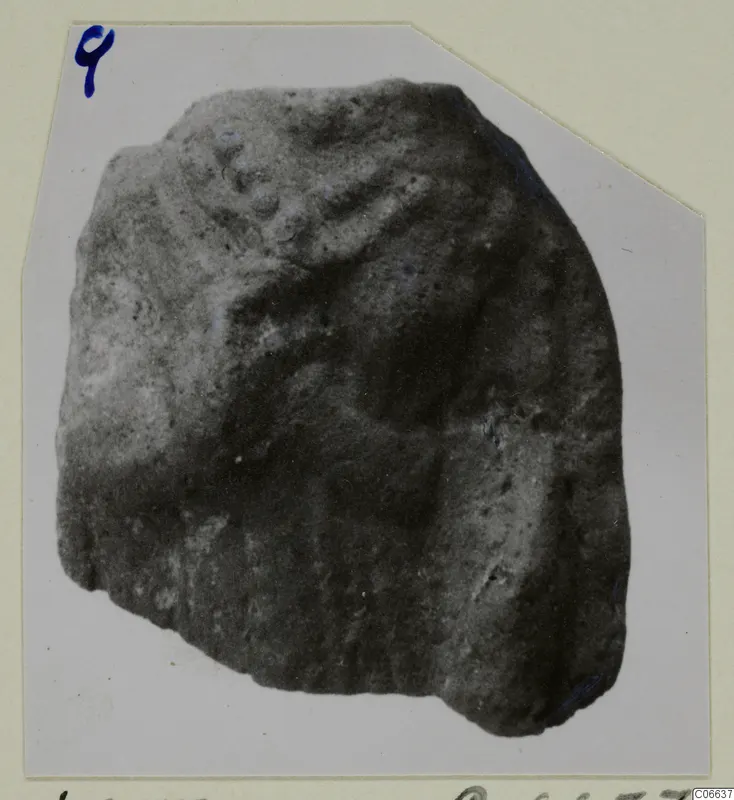Fragment of a terracotta figurine from Vouni, shown in close view on a photo card with a handwritten number.