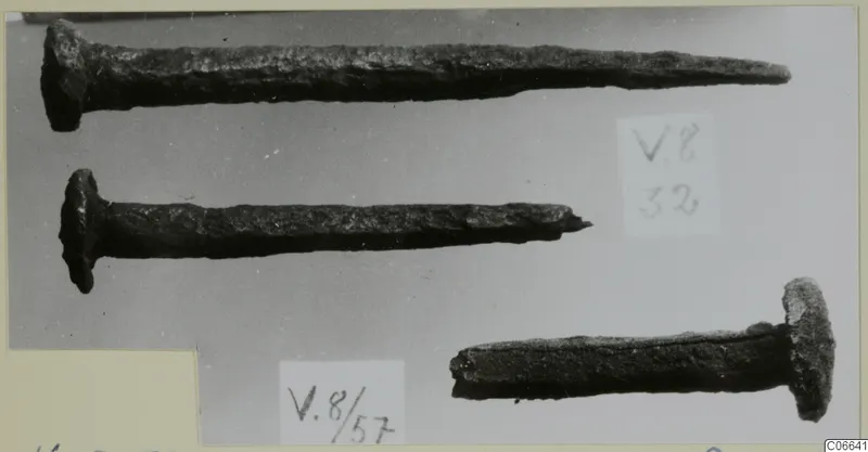 Three corroded metal nails with flat round heads and long tapering shanks, photographed on a pale background