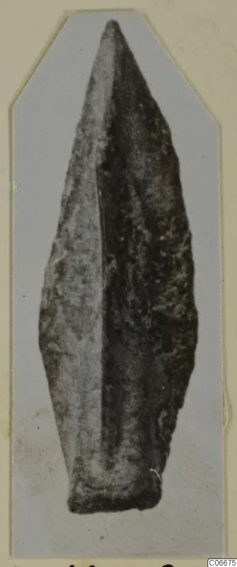 Bronze arrowhead with a long, narrow, leaf-shaped blade, shown on a pale grey card.