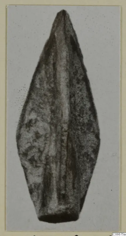 Bronze arrow-head, leaf-shaped with a central ridge and a socket at the base