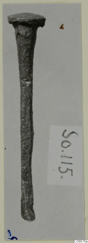 Iron-looking nail with a flat round head, photographed upright on grey card, from the Soli finds series