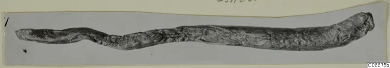 Long, corroded lead object lying horizontally, with a slight bend and a knobbed right end