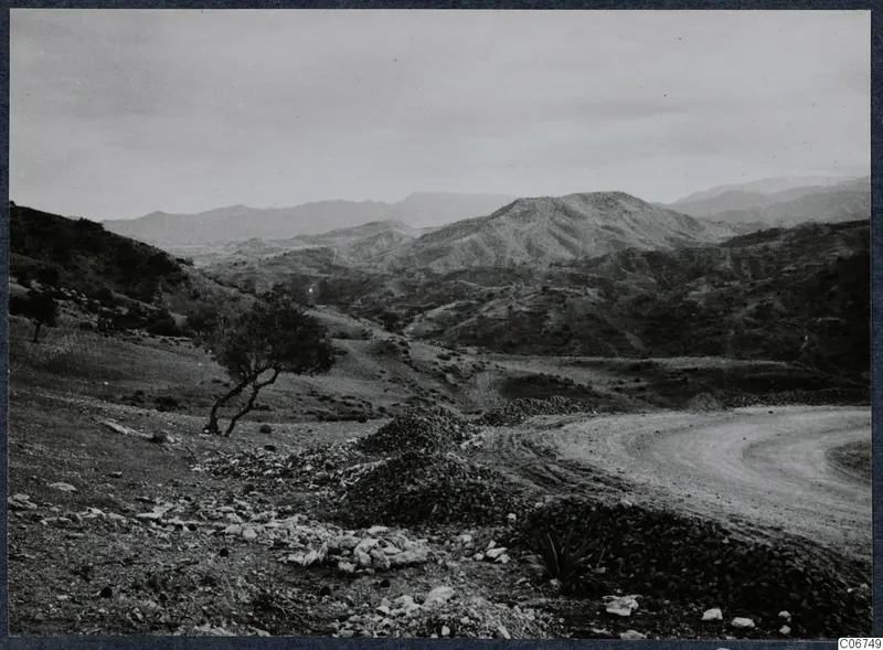 Landscape at Vouni with rolling hills, a lone tree and a dirt road curving across the foreground.