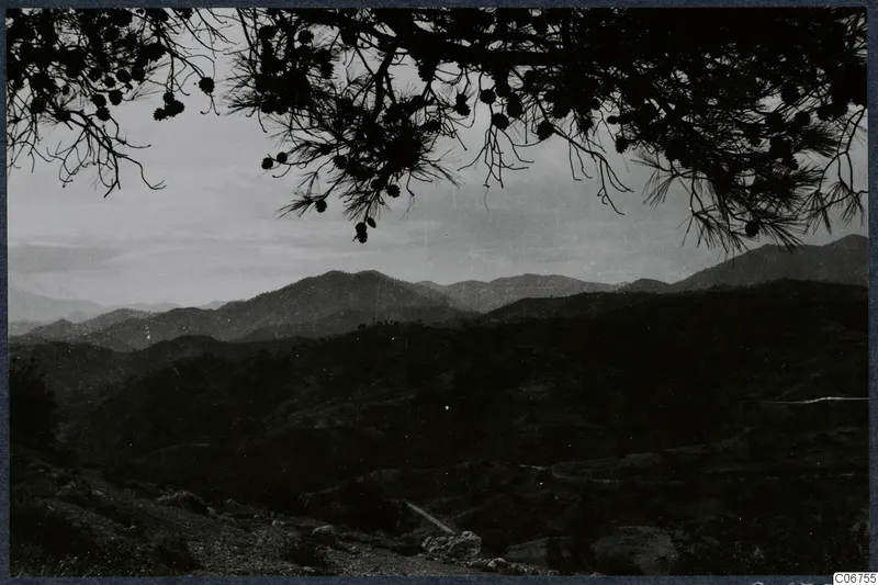 Pine branches with cones frame a view across hills and mountains at Vouni