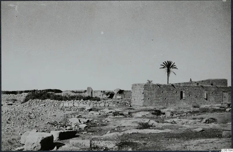 Temple of Aphrodite: a stone building with a palm tree behind its roof, with low walls and scattered stones in the foreground