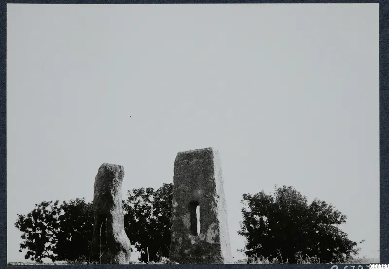 Two tall weathered stone monoliths with tree canopies behind them, at Palaipaphos near Kouklia
