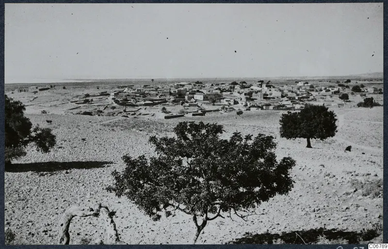 Kouklia village seen from higher ground, with low houses spread across the plain under a pale sky.