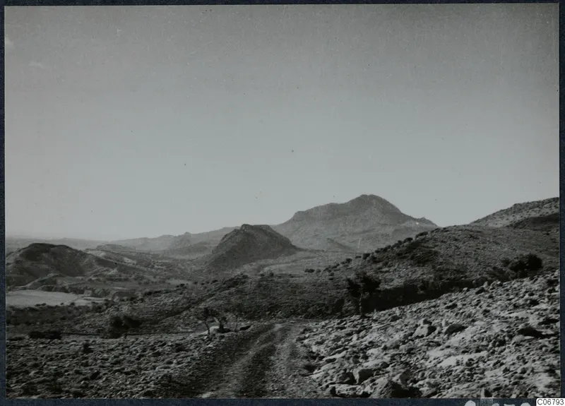 Rocky hillside track with a mountain and small trees in the distance on the Karpas peninsula