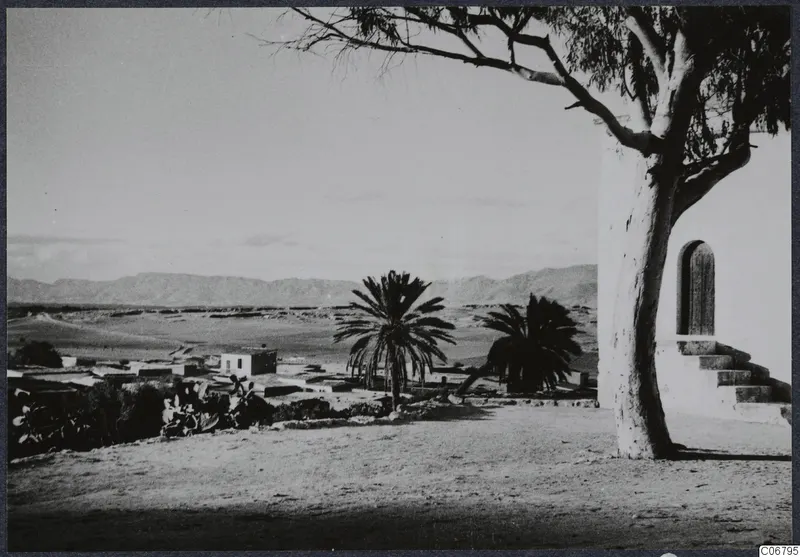 Buildings, palm trees and a large tree with mountains behind the flat land at Nicosia