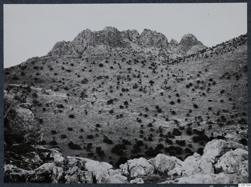 Rocky hillside with scattered scrub trees and jagged limestone outcrops under a pale sky, near Kythrea.