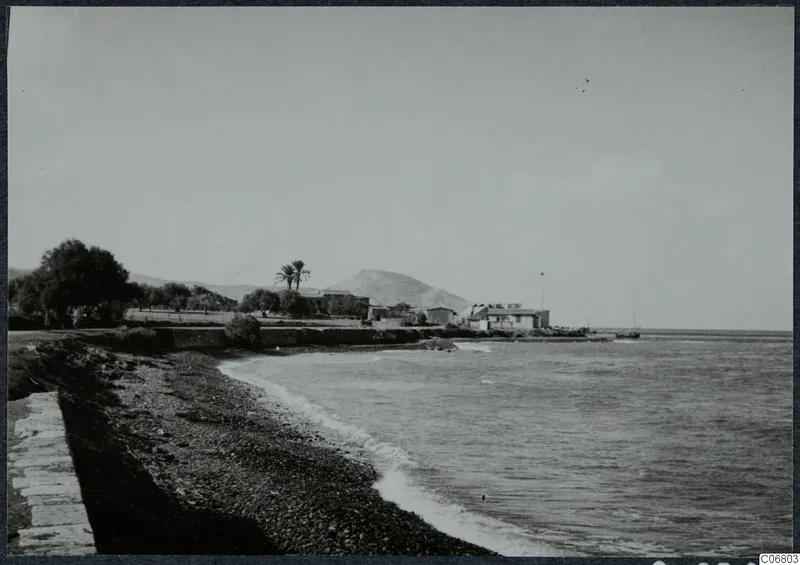 Pebble shore and sea with white buildings, palms and a rounded hill behind, in the Kyrenia Mountains area