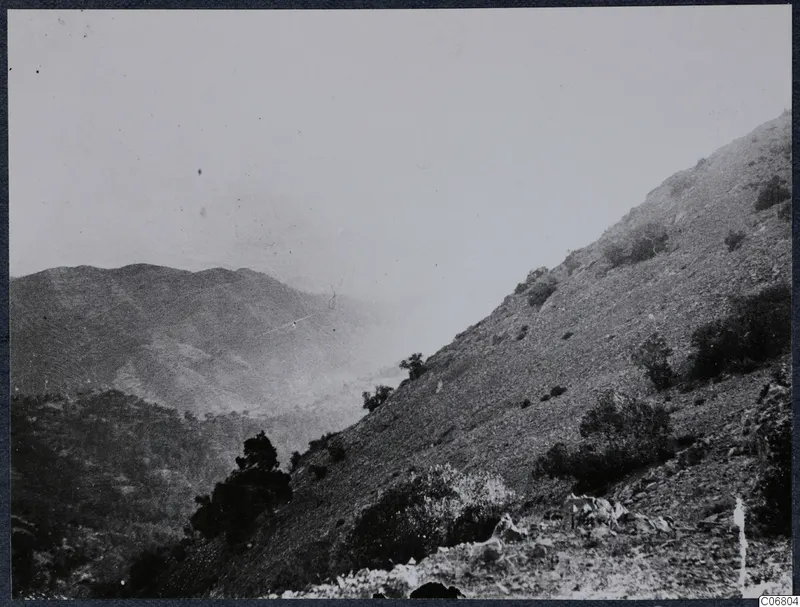 Steep hillside covered in scrub and low bushes, with a range of hills and a hazy valley beyond under a pale sky.