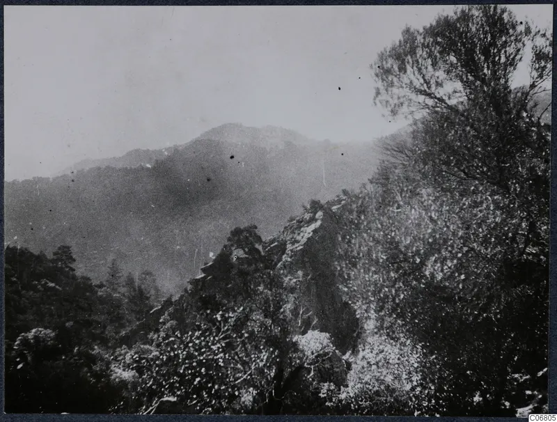 Mountain landscape with trees at Machairas, Troodos