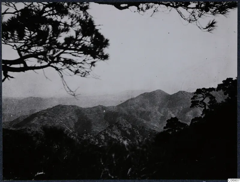 Mountain landscape seen through pine branches at Machairas, Troodos.