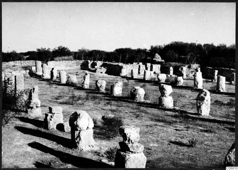 Rows of stone column drums and stacked column bases with low walls and trees behind, at Salamis