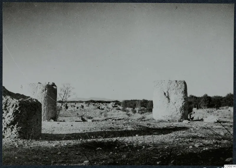 Ruined stone columns standing in an open field at Salamis, with low walls and scrub beyond.