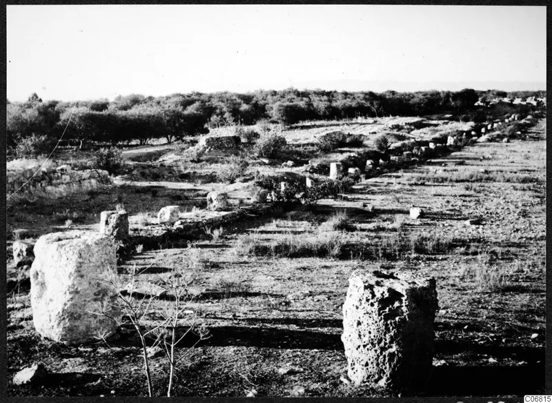 Ruined stone blocks, a low wall and a line of upright stones at Salamis, with trees behind