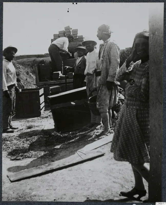 Workers loading wooden crates onto a cart at Ayios Iakovos