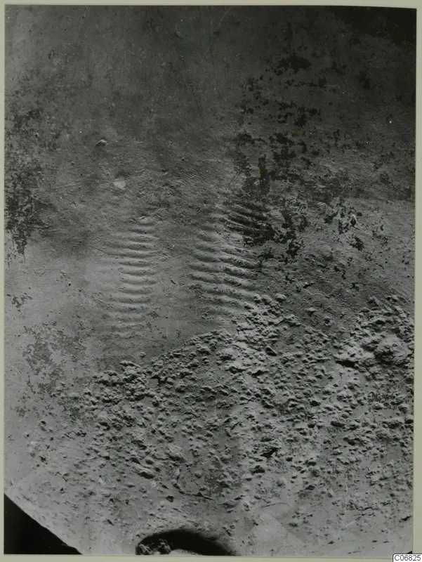 Close view of a pottery surface with two patches of horizontal ridges, of a Red Polished III Bowl