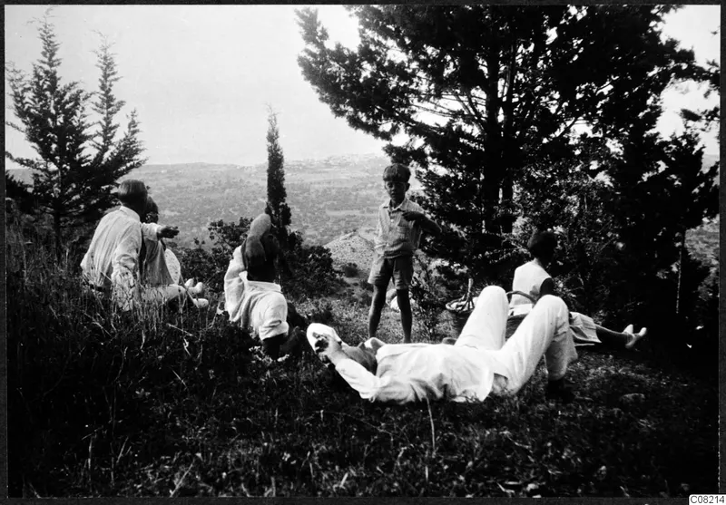 People resting on a grassy hillside among pine and cypress trees, with a hazy view of hills and plain below.
