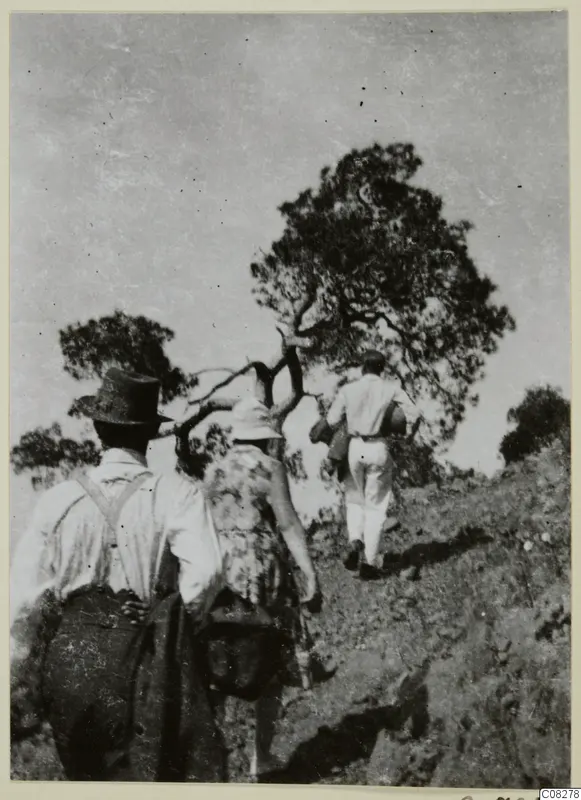 Three people walking uphill past a tree on a hillside at Machairas, seen from behind