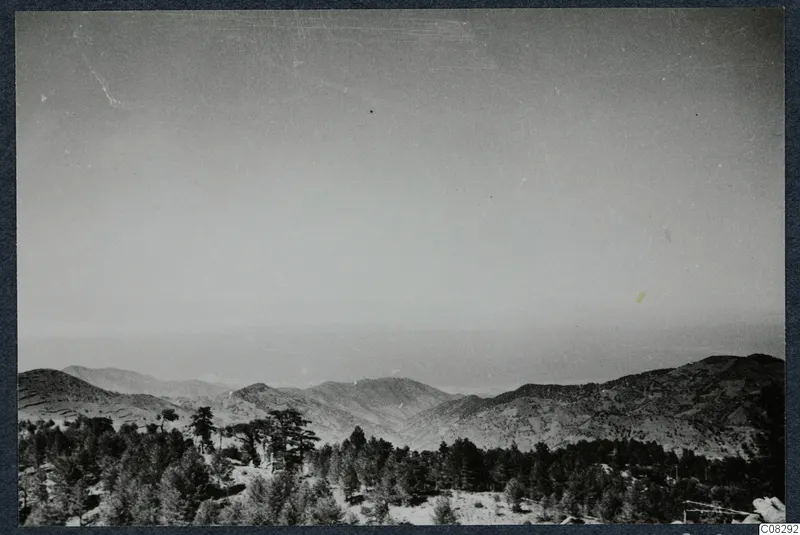 Mountains and hills rising behind a dense band of trees, under a pale hazy sky.