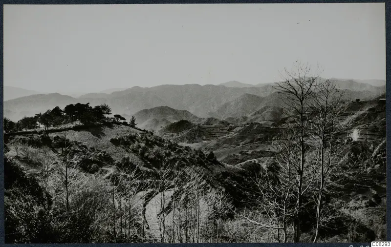 Landscape of wooded hills and mountain ridges near Troodos, with terraced slopes and bare trees in the foreground.