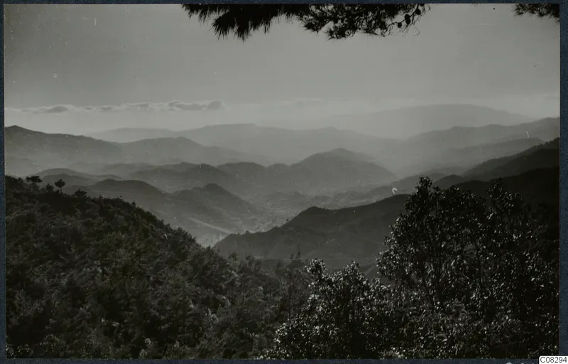 Layered hills and mountains seen from a wooded slope, with pine branches framing the top of the view.