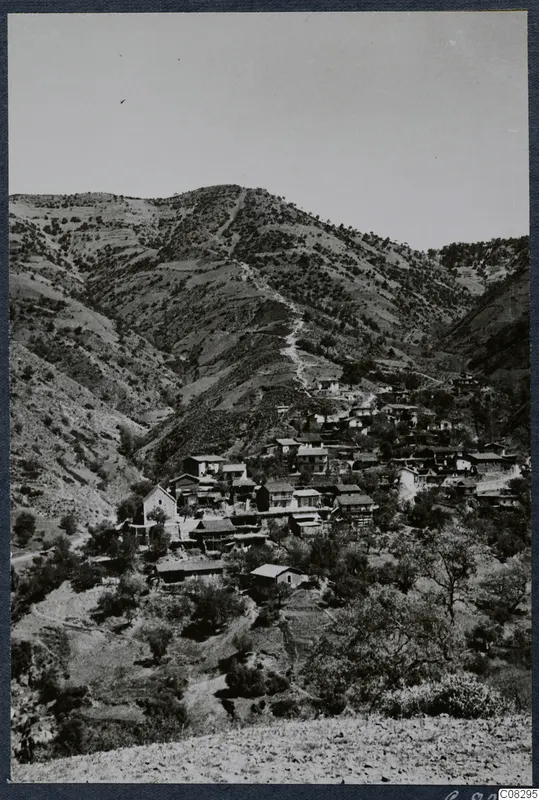 Village of houses clustered on a steep wooded mountainside, with a footpath climbing the slope above it.