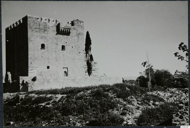 Square stone tower with battlements and small arched windows, with a tall narrow tree beside it on open ground