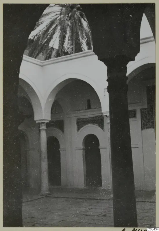 Courtyard of a whitewashed building with arcades, a palm tree growing in the open centre, and a dark column in the foreground.