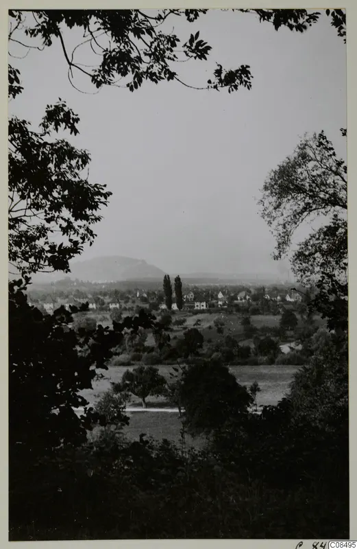 Landscape view through overhanging branches across fields and a village, with a rounded hill in the distance