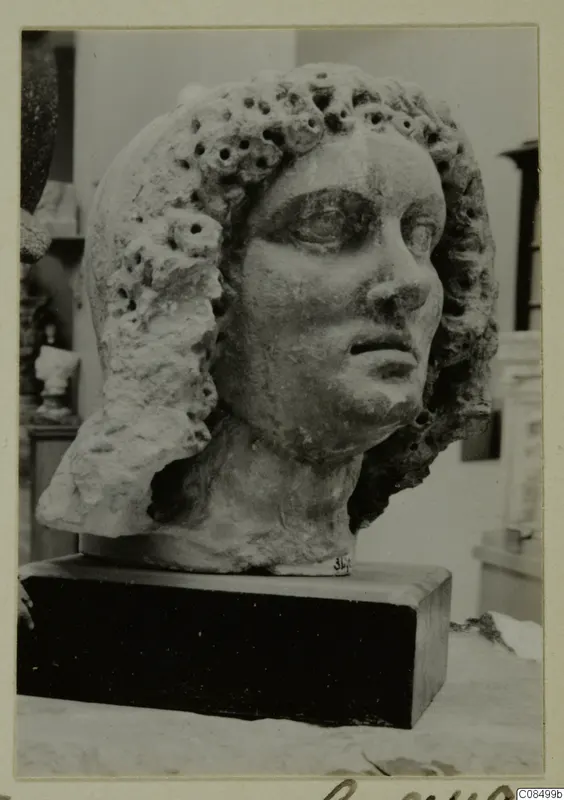Female head in pale stone with curled hair pierced by drilled holes, on a dark wooden base