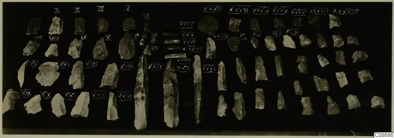 Rows of chipped stone blades and flakes on a dark background, each beside a white numeral label.