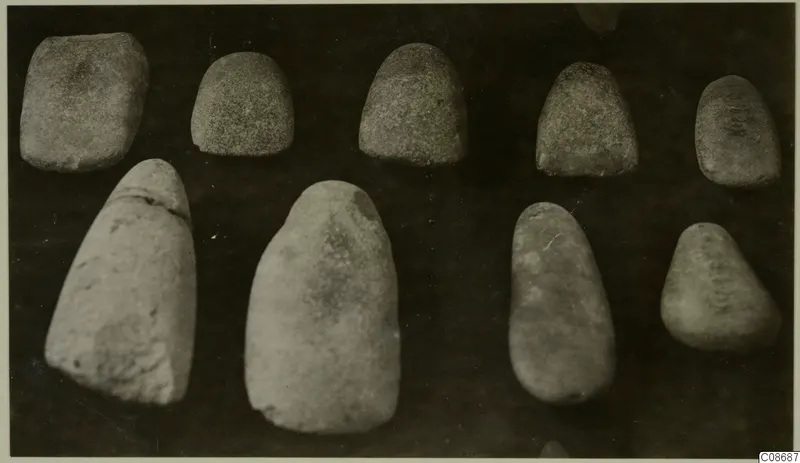 Nine smooth stone objects, rounded and tapering, arranged in two rows on a dark background