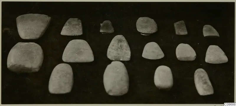 Group of about sixteen pale grey stone objects arranged in three rows on a dark background