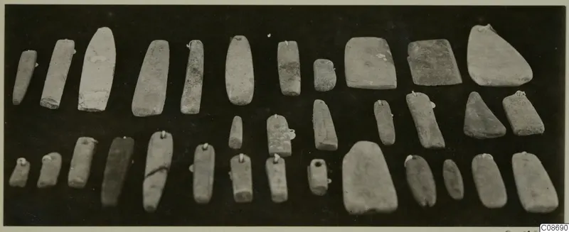 Two rows of polished-looking stone tools, mostly elongated and tapering, photographed on a dark background.