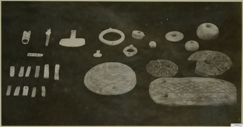 Group of pale worked objects laid out on a dark surface: patterned discs, a long plaque, rings, beads and small rectangular pieces