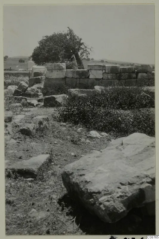 Ruined wall of large squared stone blocks with a tree above and fallen stones in the foreground