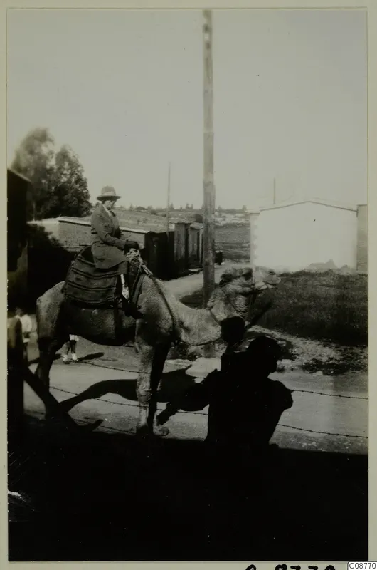 Woman in a hat riding a camel along a road past low whitewashed buildings and a tall wooden pole