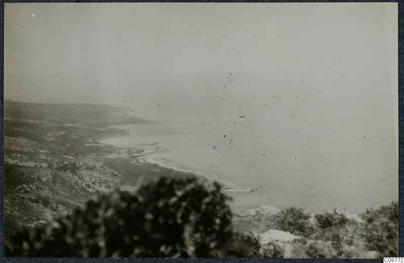 Hazy view across a curving coastline from higher ground, with dark shrubs blurred in the foreground.