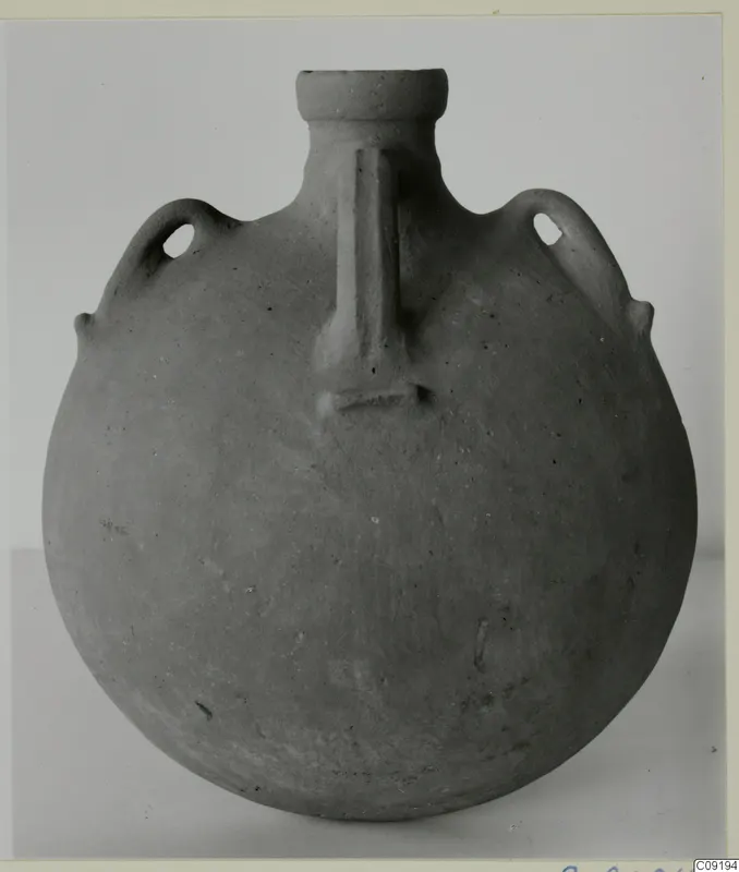 Round-bodied vessel with a short neck, flat rim and two loop handles on the shoulders, photographed against a plain background.